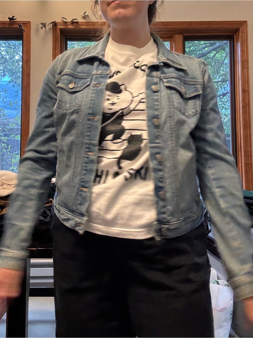 Ann Taylor Loft Jean Jacket